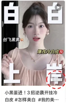 RED(小紅書)広告配信の例