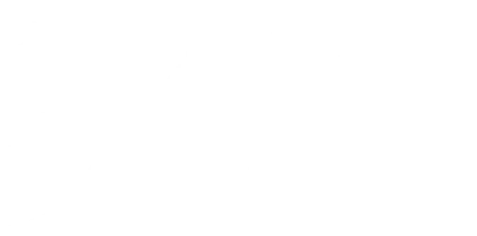 実績